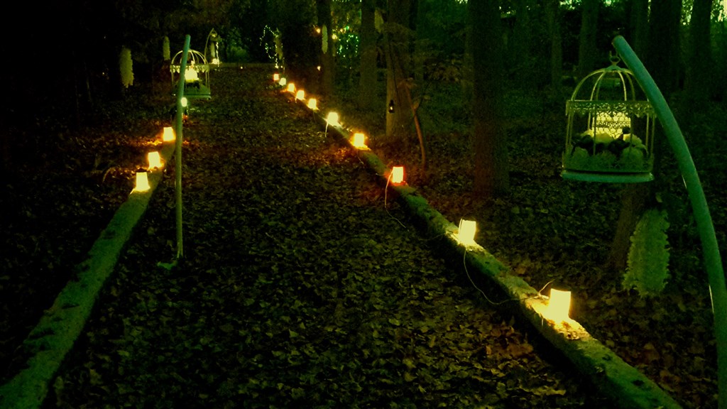 EVLİLİK TEKLİFİ BAHÇE VE YOL SÜSLEME